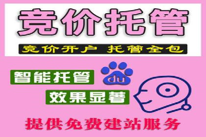 SEM运营公司案例：精准定位用户需求
