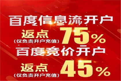 探索sem竞价广告的奥秘：从案例看效果提升